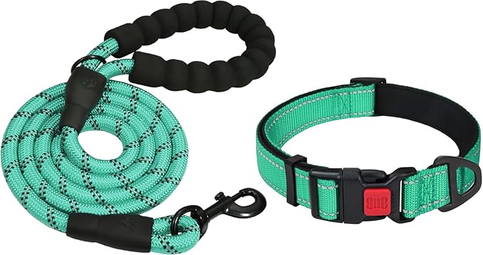 Taglory 16-24" Length, 1" Wide Dog Collar and Leash Set, 1/2" x 6 FT Highly Reflective Threads Dog Leash for Medium and Large Dogs,Turquoise