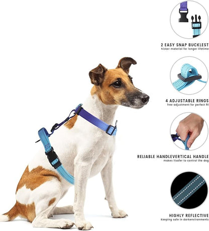 Roses&Poetry Dog Harness and Leash Set for Mediumn Dogs, No Pull Dog Harness Adjustable Reflective, Dog Halter Harnesses Comfort Padded Handle, Pet Harness for Training Outdoor Walking（Gsky-M