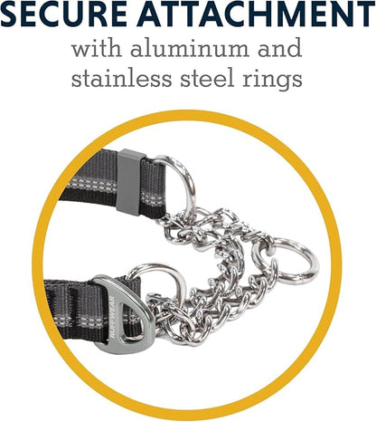 Ruffwear, Chain Reaction Dog Collar, Adjustable Reflective Martingale Escape-Proof Collar with Stainless Steel Chain, Professional Training Control, Basalt Gray, 11"-14"