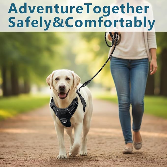 BARKBAY Dog Harness No Pull with ID Tag Pocket - Heavy Duty, Reflective, Easy Control for Large Dogs(Black,L)