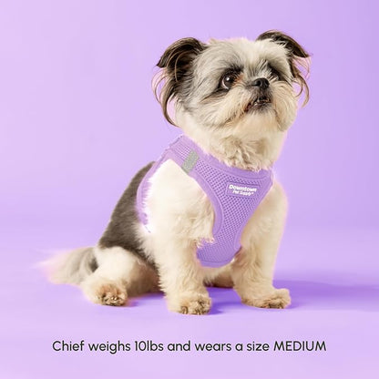 Downtown Pet Supply Step in Dog Harness for Large Dogs - Adjustable, Escape Proof Dog Harness with Reflective Trim - All-Weather, Fast-Drying Padded Mesh Fabric - Lilac, L