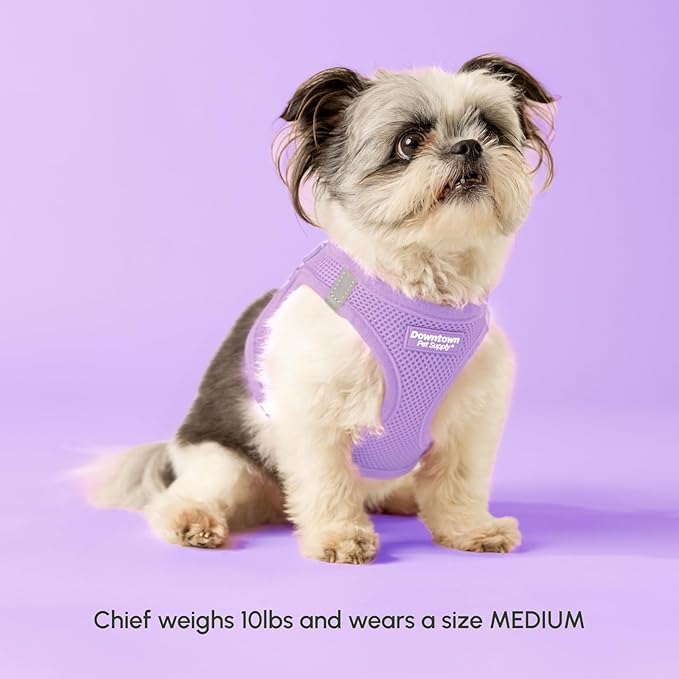 Downtown Pet Supply Step in Dog Harness for Large Dogs - Adjustable, Escape Proof Dog Harness with Reflective Trim - All-Weather, Fast-Drying Padded Mesh Fabric - Lilac, XL