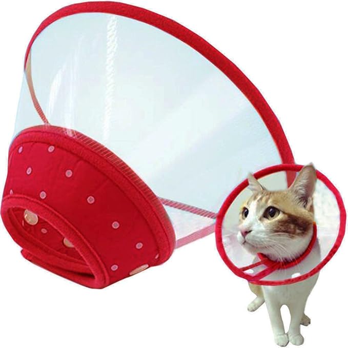 Pet Plastic Clear Cone Recovery E-Collar with Dots Design Soft Edge for Small Dogs & Cats (Medium, Red)