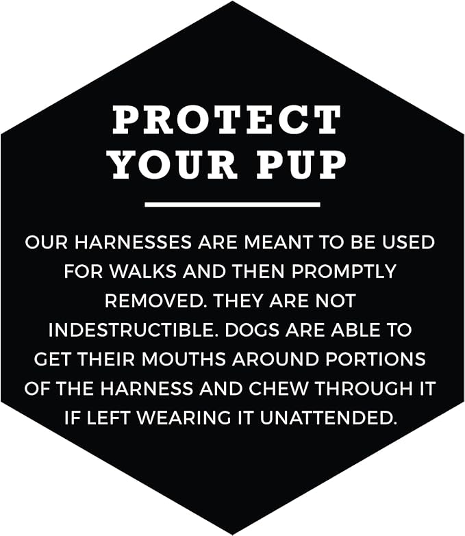 Wolfgang Heavy Duty Adjustable Dog Harness, Pull-Tested to Over 800 lbs for Walking & Training, PackLeader Print, Extra Large