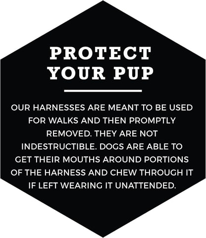 Wolfgang Heavy Duty Adjustable Dog Harness, Pull-Tested to Over 800 lbs for Walking & Training, PackLeader Print, Extra Large