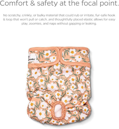 Pet Parents® Washable Dog Diapers (3pack) + Extendrs® of Durable Doggie Diapers, Premium Dog Diapers Female (Large, Daisy)