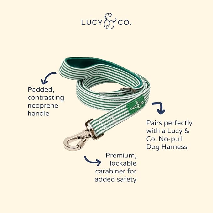 Lucy & Co. Tomato, Tomahto Dog Leash, Durable Matching Dog Lead with Heavy Duty Hardware, Large