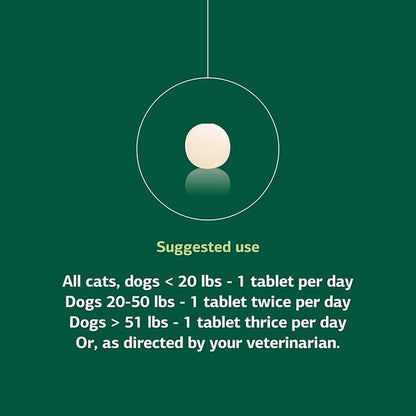 Standard Process Inc. VF Antronex for Pets - Feline & Canine Hepatic Support Formula - Healthy Liver Supplement for Cats & Dogs - Antronex Supplement to Support Healthy Immune System - 90 Tablets