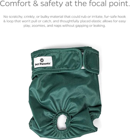 Pet Parents® Washable Dog Diapers (3pack) + Extendrs® of Durable Doggie Diapers, Premium Dog Diapers Female (Medium, Samba)