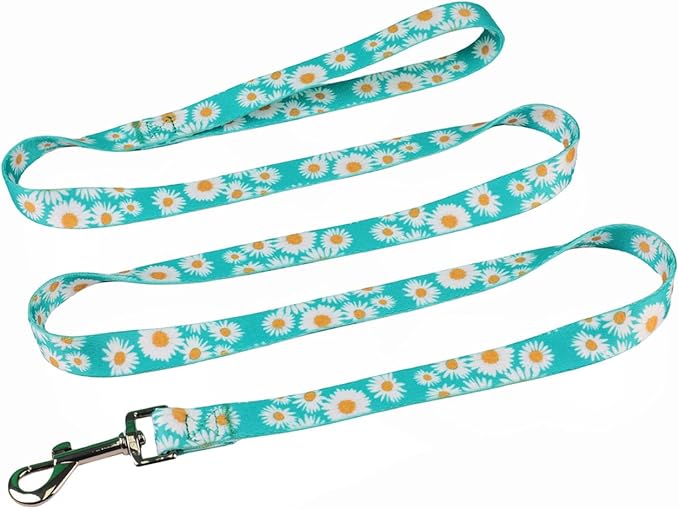 Harness and Leash Set, Floral Pattern, 5ft Matching Leash, No Pull, Easy Wear for Small Puppy Dogs.(XS, Green Daisy)