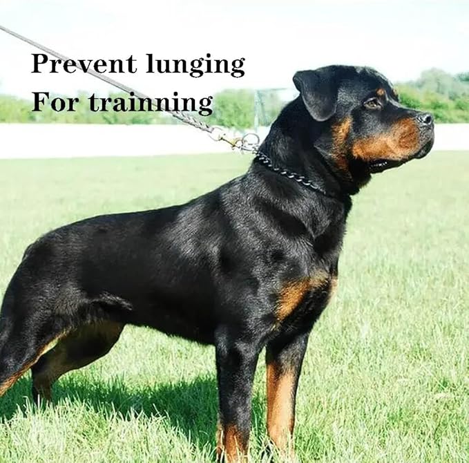 Chain Dog Choker Collar, Metal Slip Link Training Heavy Duty Choke Dog Collar Puppy Collars for XXS XS Small Medium Large Big XL Breed Dogs, 2xSilver XL