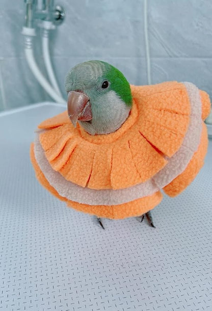 Adjustable Parrot Cone Collar, Safe and Practical Cotton Collar to Prevent Bites and Licking Wounds, to Help heal (XL)