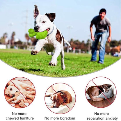 Pamlulu Dog Chew Toys, Toothbrush Stick Teeth Cleaning Brush Dental for Small Medium Large Dog, Rubber Squeaky Toys for Aggressive Chewers Cactus Tough Toys