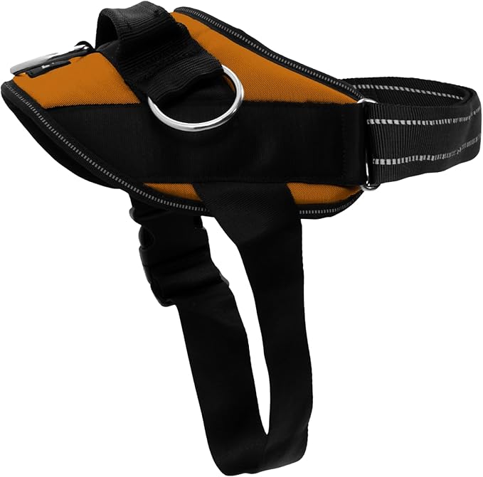 ShawnCo Essential Dog Harness, No-Pull Pet Vest with 3 Leash Clips, No Choke, Reflective, Adjustable and Padded, for Easy Walking and Training for Small, Medium and Large Dogs (Sunset Orange, M)