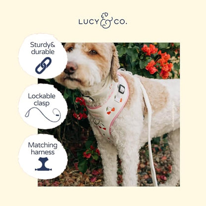 Lucy & Co. Sipping Slowly Dog Leash, Durable Matching Dog Lead with Heavy Duty Hardware, Small