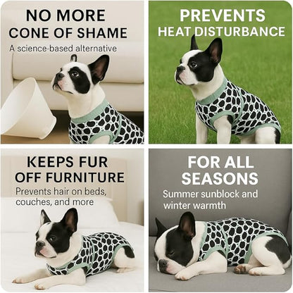 PetWarm Dog Recovery Suit, Recovery Suit for Female Male Dogs Onesie After Surgey Spay Neuter, Anti-Licking Pet Surgical Recovery Pajamas, Leopard Pattern, Green, S
