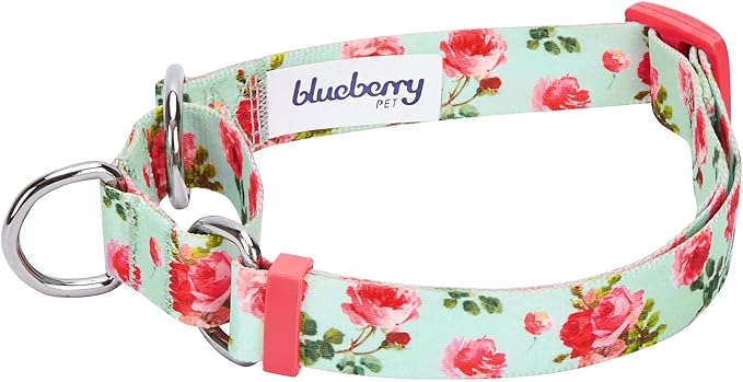Blueberry Pet Spring Scent Inspired Rose Print Martingale Safety Training Dog Collar, Turquoise, Small, Heavy Duty Adjustable Collars for Dogs