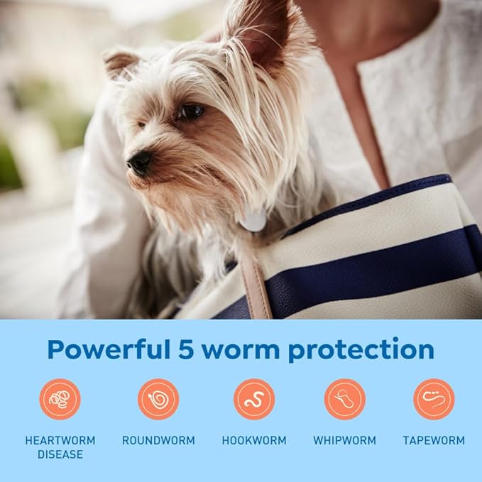 Interceptor Plus Prevention for Heartworm + 4 Other Worms for Dogs 2-8 lbs. | 12 Chews, 12-Month Supply