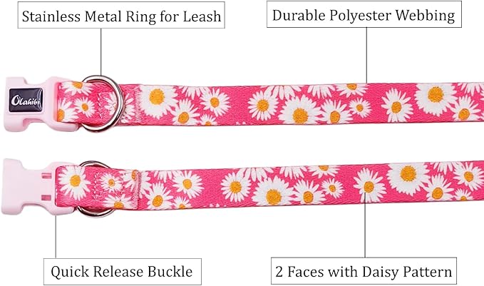 Dog Collar and Leash Set, Cute Pink Daisy Pattern, Polyester Material, 5ft Leash, for Puppy Dogs.(Extra Small, Pink Daisy)