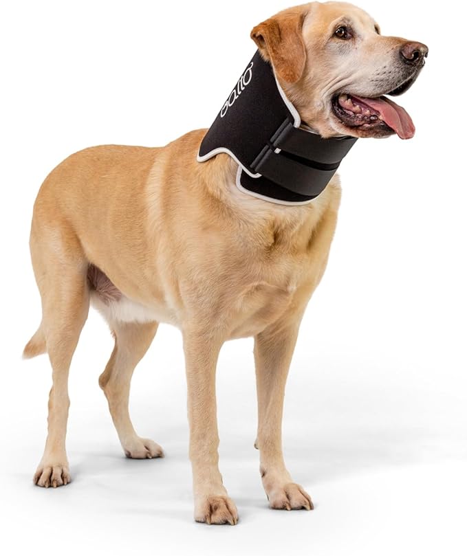 Balto Neck Eco Soft Recovery Collar for Dogs – E-Collar Alternative for Post-Surgery, Allergy Relief & Wound Protection – Adjustable, Breathable, Washable Cone – Vet-Approved (Medium)