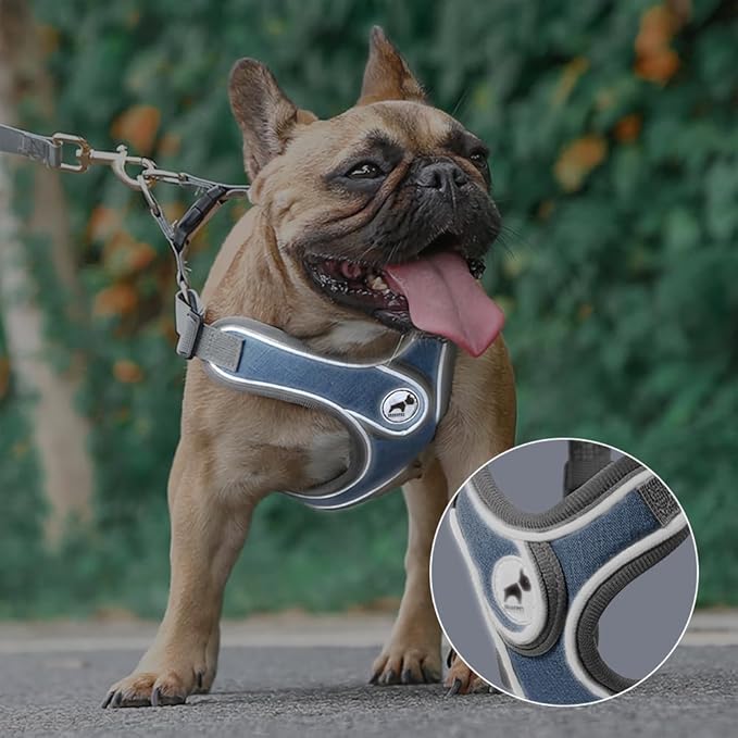 Dog Harness with Leash Set, Puppy Harnesses with Breathable Padded for Small Dogs Training and Running(XS, Gray)