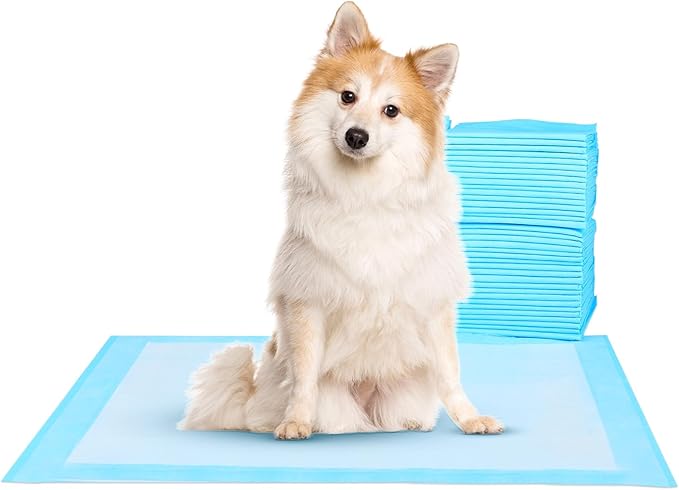 Super-Absorbent Waterproof Dog and Puppy Pet Training Pad, Housebreaking Pet Pad,Blue (22" x 22"(100PCS Regular))