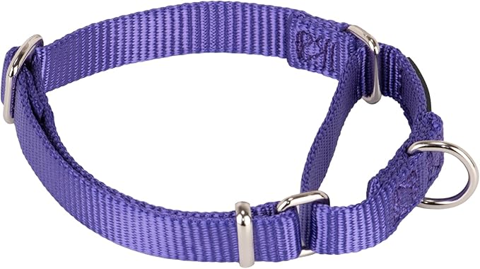Hyhug Martingale Collar for Dogs Small Purple |Escape - Proof Heavy Duty Nylon Durable No Buckle, Ideal for Training & Daily Walks
