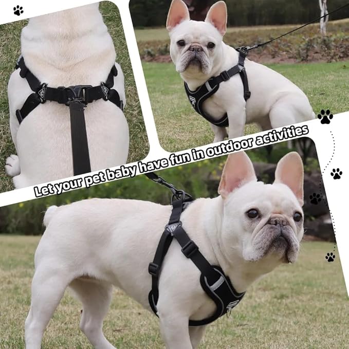Dog Harness and Leash Set, Adjustable Triangle, Reflective Adjustable Puppy Vest, No Pull Soft Mesh Harness for Small, Medium Dogs, Cats (Black, L)