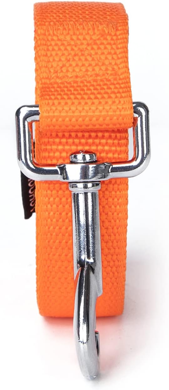 Strong Durable 15ft Nylon Dog Training Leash, 1 Inch Wide Traction Rope, for Small and Medium Dog (Orange, 15 Feet)