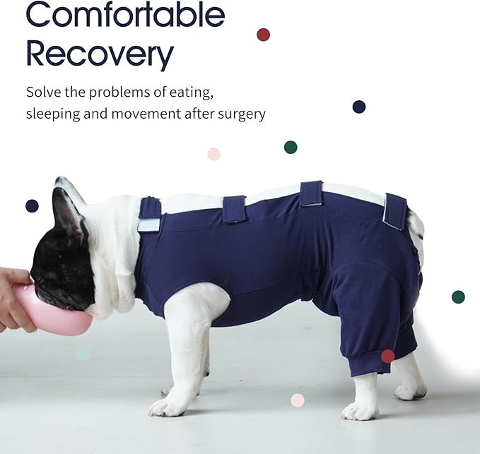 IECOii Dog Onesie for Surgery - Female Spay Recovery Suit, Male Anti Licking Shirt - Medium Size, Alternative to Cone E-Collar - M-Blue