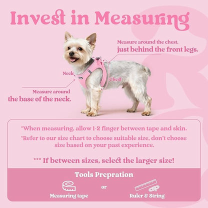 rabbitgoo Small Dog Harness, Step-in Soft Mesh Puppy Vest with Safety Buckle, Breathable Reflective Pet Harness for Extra Small Dogs, Light Pink XXS