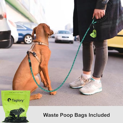 Taglory Rope Dog Leash 4 FT with Comfortable Padded Handle, Highly Reflective Threads Leash and Anti-Tangle Clip for Walking Small Dogs, 3/8 inch, Turquoise