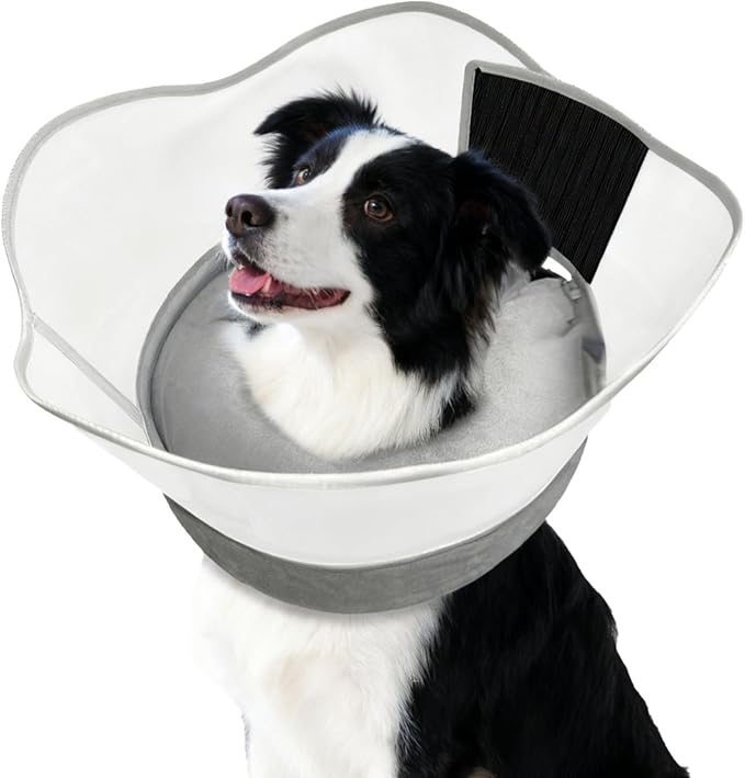 Inflatable Dog Cone with Transparent Shield, Large Size Protective Dog Donut Collar After Surgery Soft Donut Cone for Dogs, Gray, Large