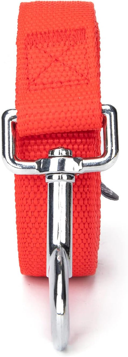 Strong Durable Nylon Dog Training Leash, 1 Inch Wide Traction Rope, 6 ft 10ft 15ft Long, for Small and Medium Dog (Red, 10 Feet)