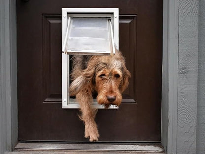 Endura Flap Double Flap Pet Door for Doors | All-Weather Insulated Flap | Durable Aluminum Frame with Secure Locking Cover | Interior and Exterior Door Installations | White, XXL, Double Flap