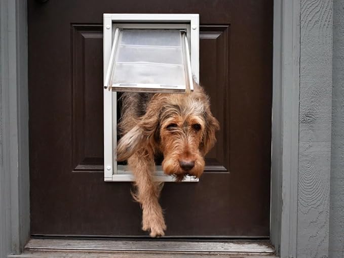 Endura Single Flap Pet Door for Doors | All-Weather Insulated | Durable Aluminum Frame With Secure Locking Cover | Interior and Exterior Installations | White, Small