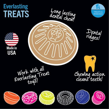 Everlasting Treat For Dogs, Chicken, Large