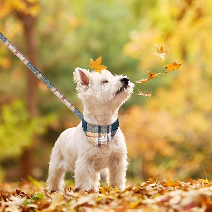 EXPAWLORER Dog Collar and Leash Set - Embroidery Pawprints Plaid Dog Collar and Dog Leash Set, Bow Tie and Bandana Dog Collar with Bell, Collar and Leash for Dogs Cats Outdoor Walking, Khaki S-M