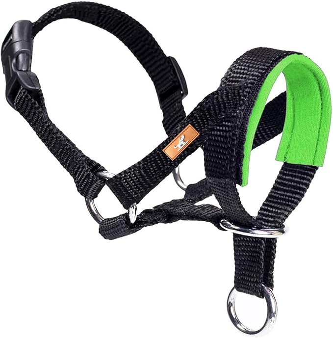 Dog Head Collar with Soft Fabric, Head Harness Stops Dog Pulling, Head Leash for Small Medium Large Dogs Walking (M,Apple Green)