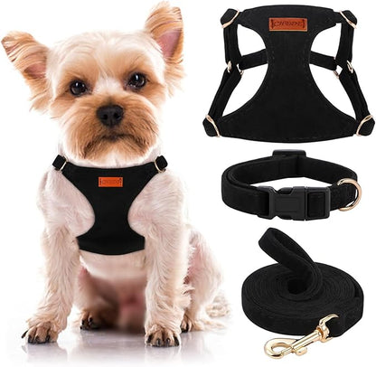 No Pull Dog Harness- Lightweight, Soft, Adjustable Small Harness Collar and Leash Set, Suitable for Cats Puppy Small and Medium-Sized Dog Outdoor Training and Running (Black, XXS)