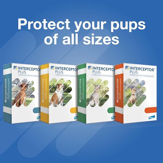 Interceptor Plus Prevention for Heartworm + 4 Other Worms for Dogs 50.1-100 lbs. | 6 Chews, 6-Month Supply