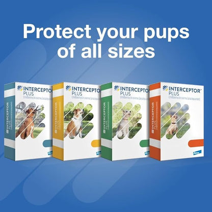 Interceptor Plus Prevention for Heartworm + 4 Other Worms for Dogs 50.1-100 lbs. | 1 Chew, 1-Month Supply