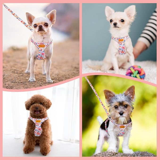 Lukovee Puppy Harness and Leash Set, No Pull Lightweight Soft Suede Adjustable Pet Harness Vest with Snap Buckle for Puppy Small and Medium Size Dog (Flower-XS)