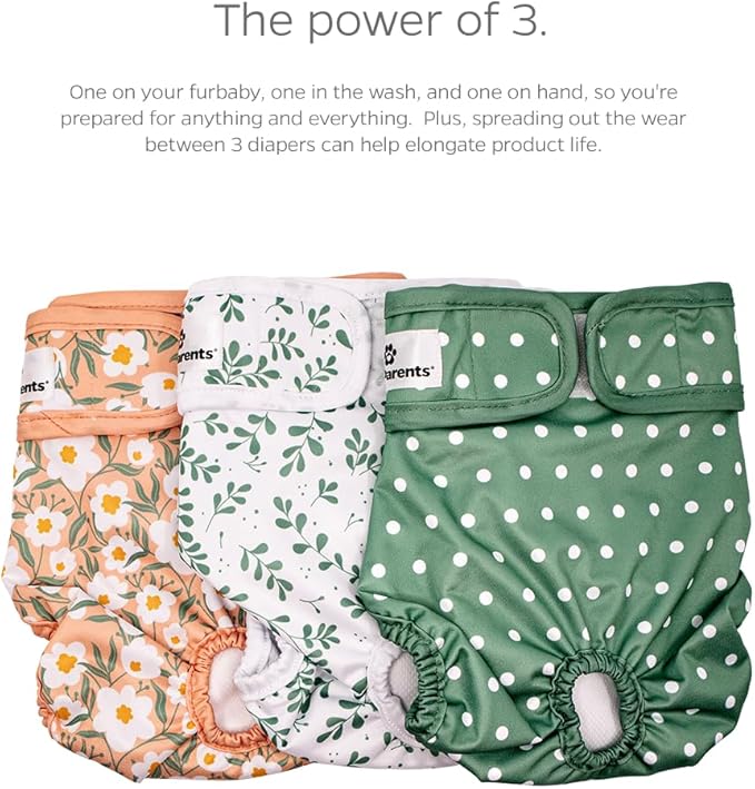 Pet Parents® Washable Dog Diapers (3pack) + Extendrs® of Durable Doggie Diapers, Premium Dog Diapers Female (Small, Daisy)