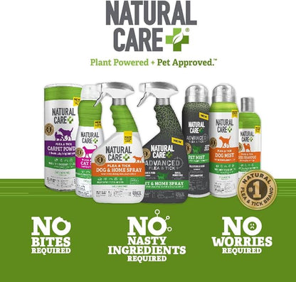 Natural Care Flea and Tick Carpet Powder, Flea & Tick Treatment for Rugs, Carpet, and Pet Bedding, Pet Essential, Pest Prevention, 8.1 oz Canister (Pack of 4)