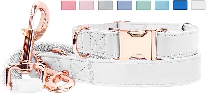 Soft Leather Dog Collar and Leash (6.6') Set - Stylish Rose Gold Heavy Duty Metal Buckle, 4 Adjustable Lengths Leash for Small Medium Large Dogs - Comfortable & Easy to Clean White XS(8"-12")