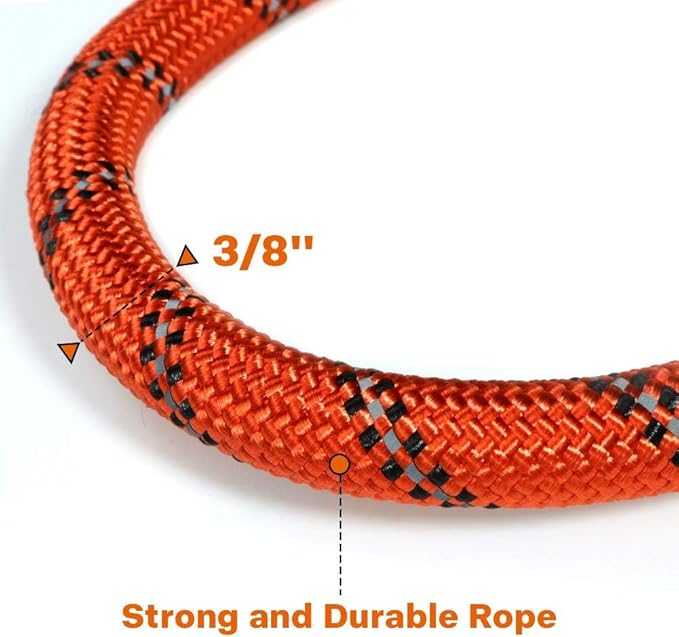 Taglory Rope Dog Leash 6 FT with Comfortable Padded Handle, Highly Reflective Threads Leash and Anti-Tangle Clip for Walking Small Dogs, 3/8 inch, Orange