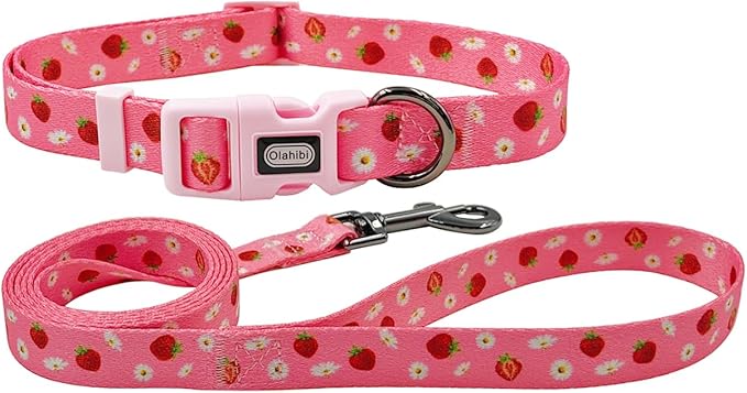 Dog Collar Leash Set, Floral Pattern, Polyester Material, Adjustable Collar and 5ft Matchcing Leash, for Puppy Dogs.(XS, Daisy and Strawberry)