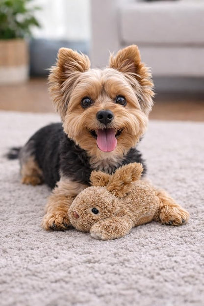 Multipet Rabbit Dog Toy w/Squeaker | Thumperz Dog Toy | Stuffed Bunny Toy for Dogs | Plush Squeaker Bunnies Dogs Toy | Small/Medium Breed (Tan/Brown, 6")