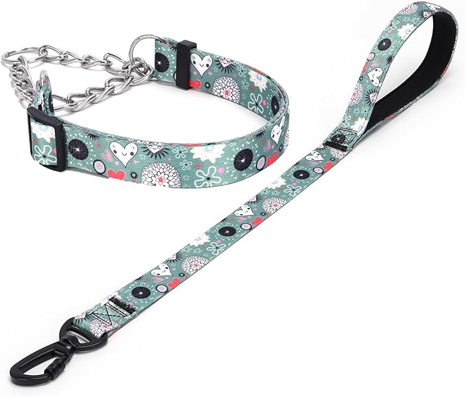 Martingale Dog Collar and Leash Set, Stainless Steel Chain, No Pull Training Collar with Flower Design, for Small, Medium, Large Dogs (NO11, L)